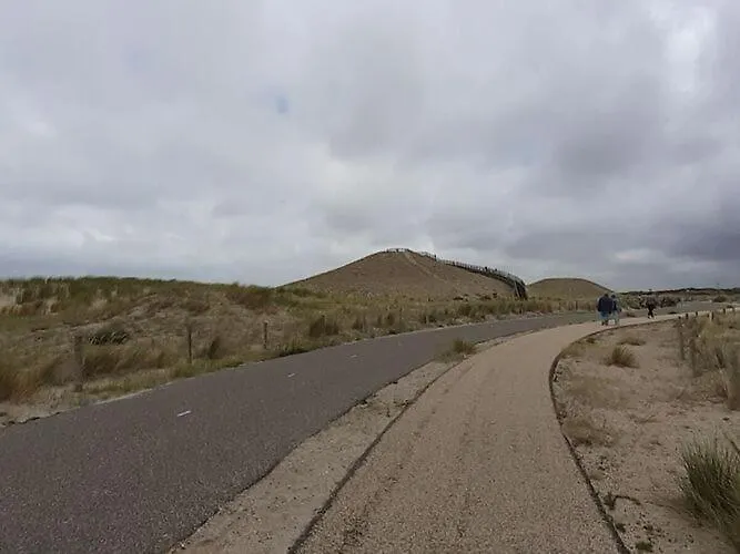 Lavender * Sint Maartensvlotbrug