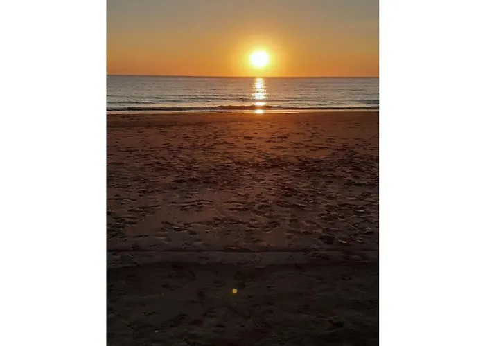 Lavender Sint Maartensvlotbrug