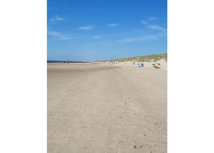 Lavender * Sint Maartensvlotbrug